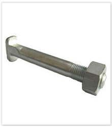 Railway bolt,Trak bolt ,Fish bolt,Clip bolt,T bolt, Clamp bolt, Inserted bolt